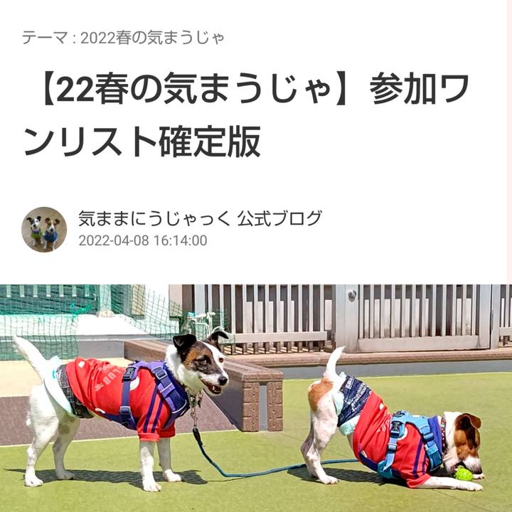 F29694ba 3adf 4faf bccb 6b063e361617 1649402455488