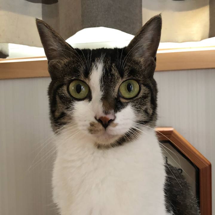 F296f603 a31d 4d05 9740 0464958afbed 1529596848093