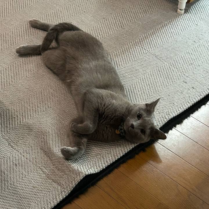 F2974e0b 429f 42cd bc27 bf810937ed32 1718839598434