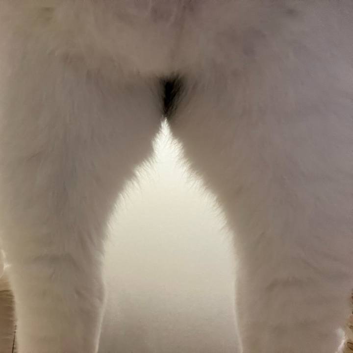 F2976804 d0d1 4d44 b4d0 960533950788 1762037758793