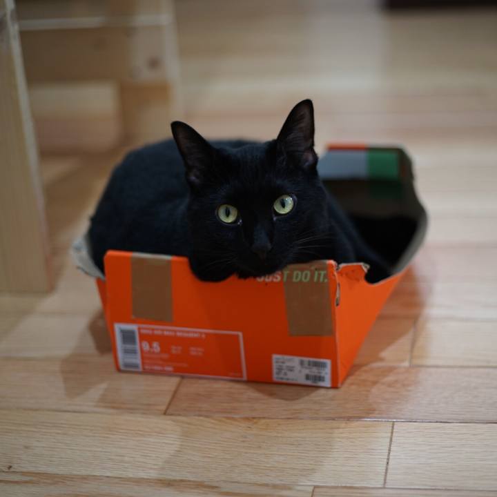 F2976b71 2329 4aaf 9b09 a933b6b97c1d 1529970237475