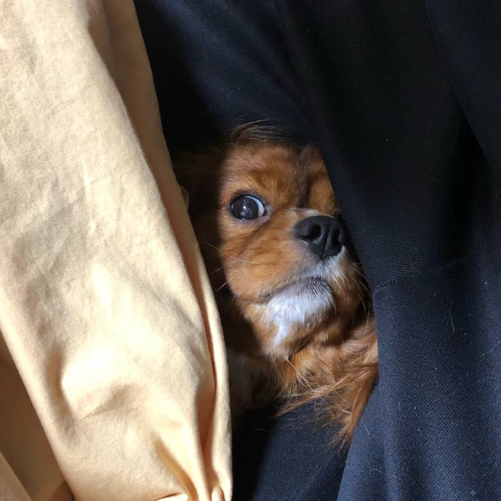 F2977c7d 7aaa 4625 8ad0 63a4b74ab38d 1575325621437