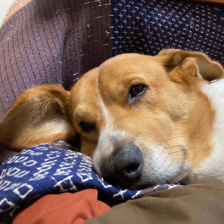 F2978318 4ce1 44b6 9770 5f2750b178eb 1704594502566