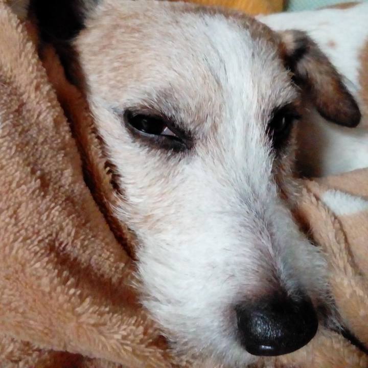 F297a560 c82f 404b 80d2 754c889bacc2 1575111161718