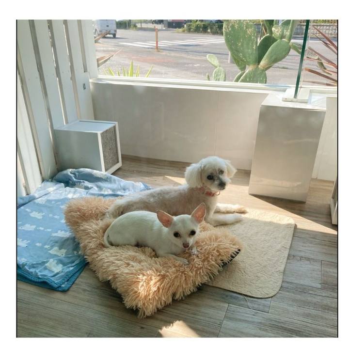 F297cc19 bdc2 402e 853e 889347f6663a 1718102873916