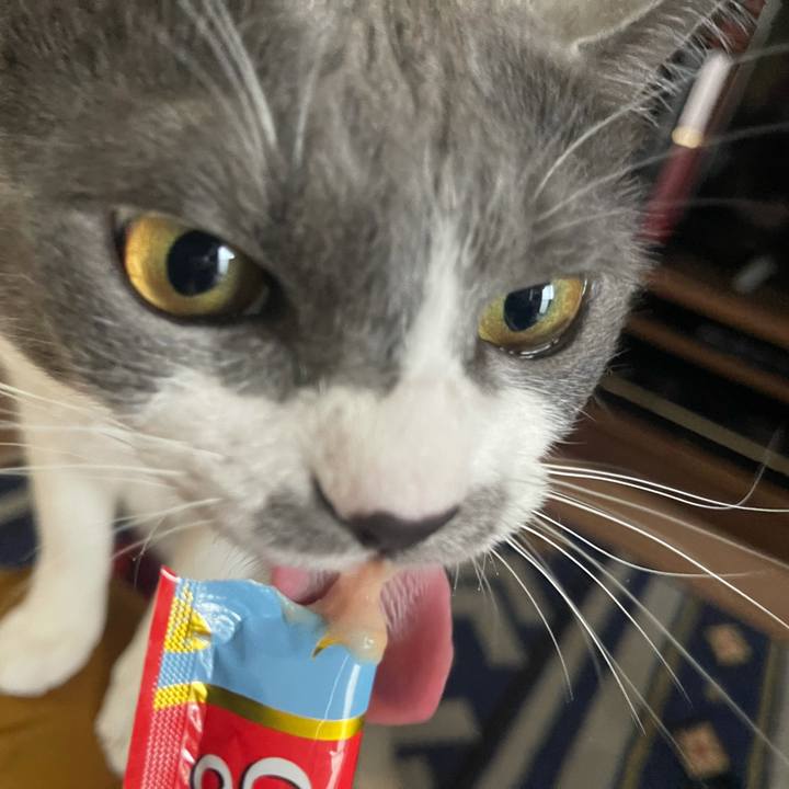 F297e178 14d5 46cc 9e33 97a8809a8a19 1625041161607