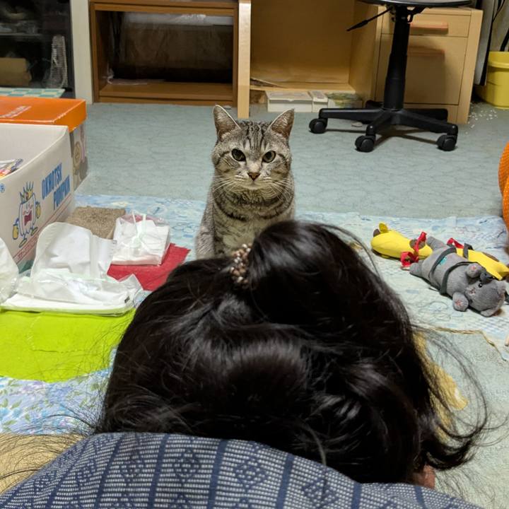 F297e75b 9491 44ae b475 17df2223fcb6 1737474629575