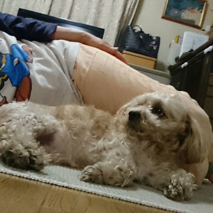 F297eba3 8a84 41e5 9e61 07edda358b22 1558618802622