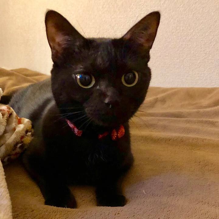 F2981117 aa3a 48c9 9a44 10ae6d079e1c 1545000650928