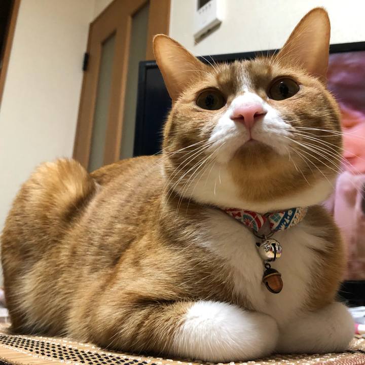 F29831c4 1b9d 4546 ac8b b765d7b97fc4 1579787173160