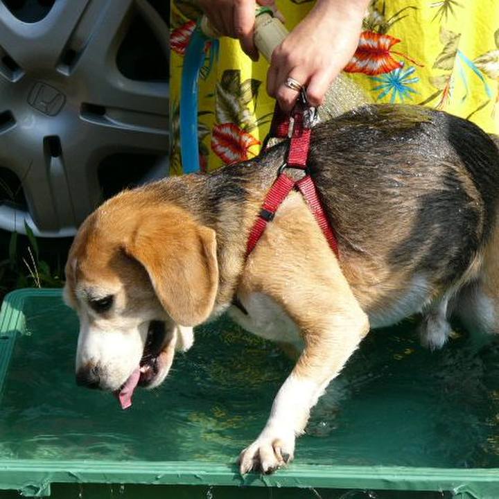 F29845c7 1809 49a1 8b81 c001758b04d1 1639961327887