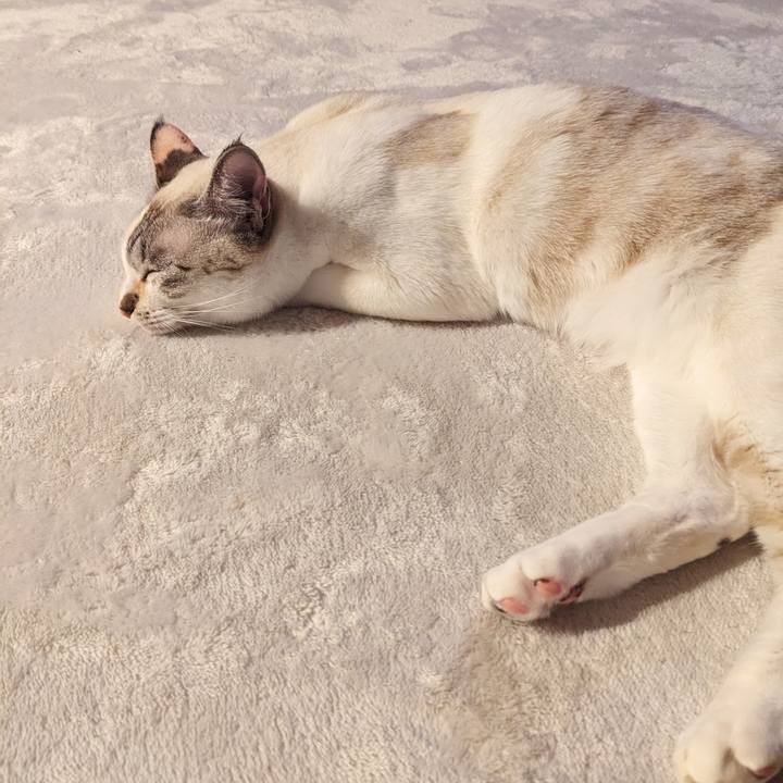 F2984b46 aa81 45a5 985f 9ee179a5c151 1705926813341