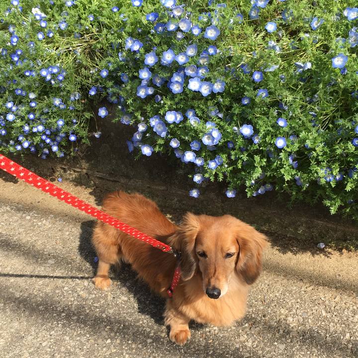 F2985d80 ce9d 4aae 8f6e b984470256a1 1617715271654