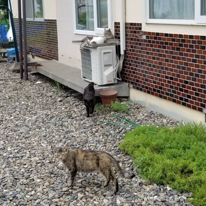 F298bfc9 7675 42d7 8952 916920f4056f 1689308522555