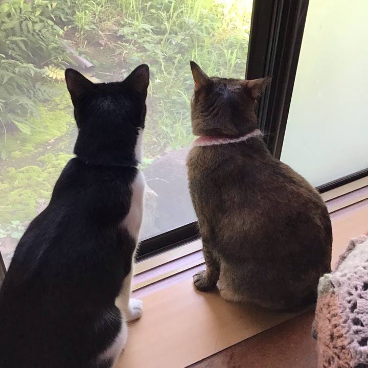 F298c1c5 3397 4723 ae83 2a4f51c41a66 1658556179688