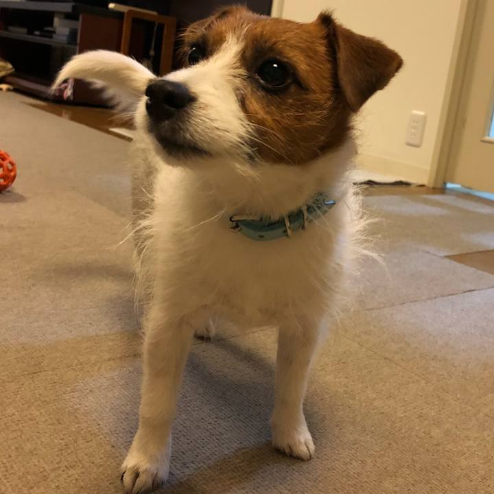 F2992b66 dce1 4251 a7d0 fdb53b35e73e 1518430473381