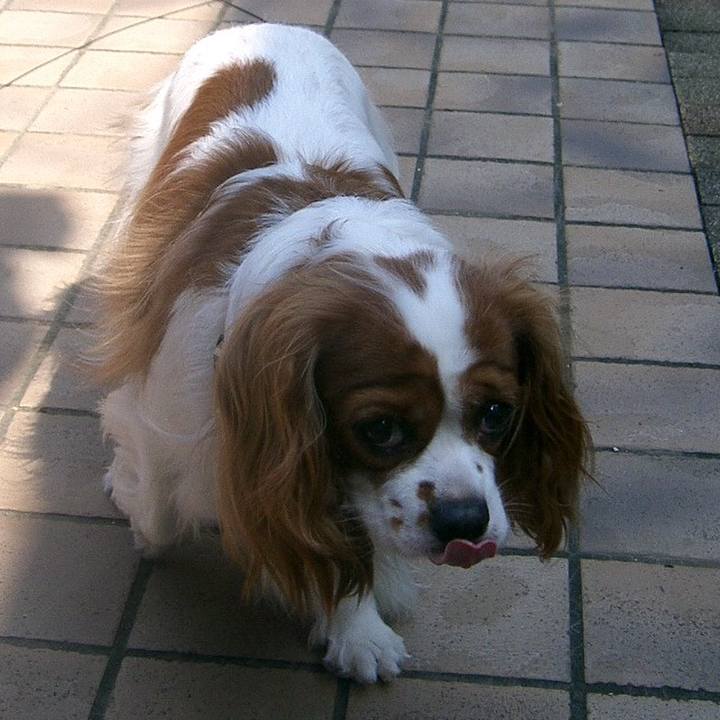 F299375b 5b5d 4dd5 9297 a43525d80759 1519457672857