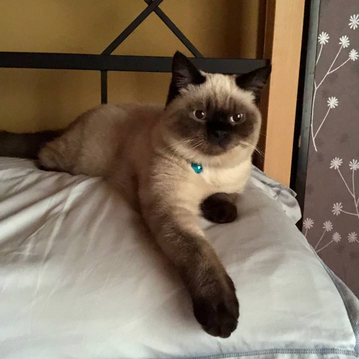 F29948d3 3376 4e60 a7a2 1a050dcde511 1594421821480