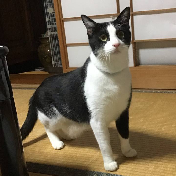 F2995a1c 5232 45ad 98ed 2b128871c91a 1688388793171