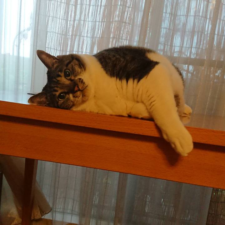 F2999f1d 1200 4132 ab41 bece299dffc5 1567295124170