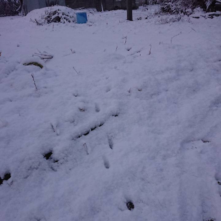 F299b950 9b0a 41f9 a601 c228287ae903 1579125274031