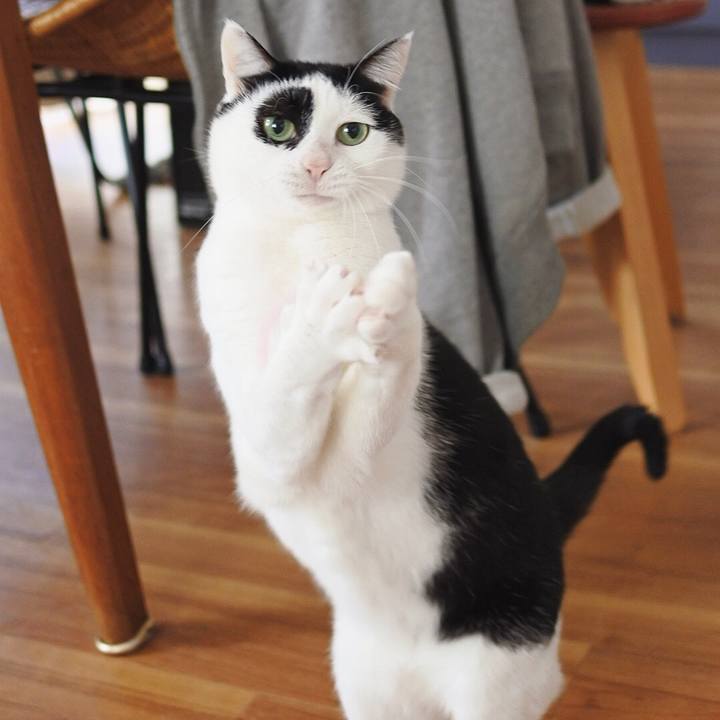 F29a0191 9016 4283 8733 e90e4148ed27 1607738105058