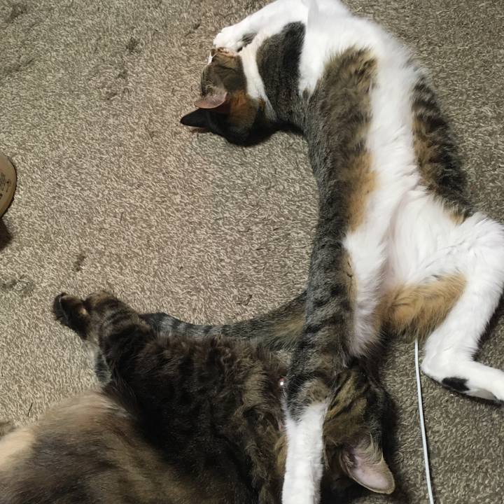 F29a0caf e7df 418e ae01 4729d097fadf 1581485770889