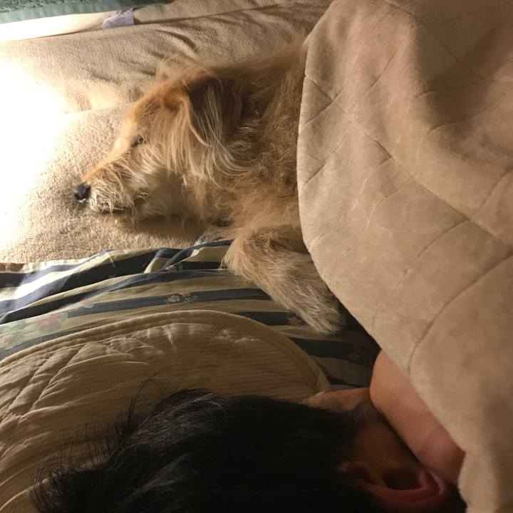 F29a2993 3714 43d3 8e98 098c9294a2b1 1614877345183