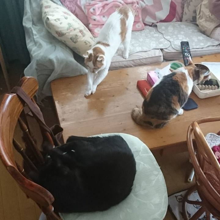 F29a6f79 5e83 4d32 ae95 a2c194c15081 1556765675137