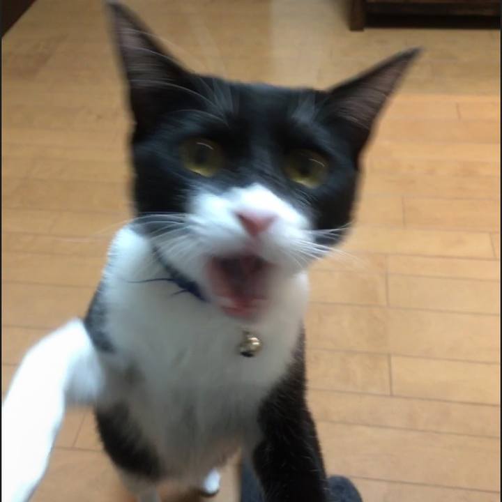 F29a7625 1eca 4b59 a6fc cb23a0aa62b5 1517655105871