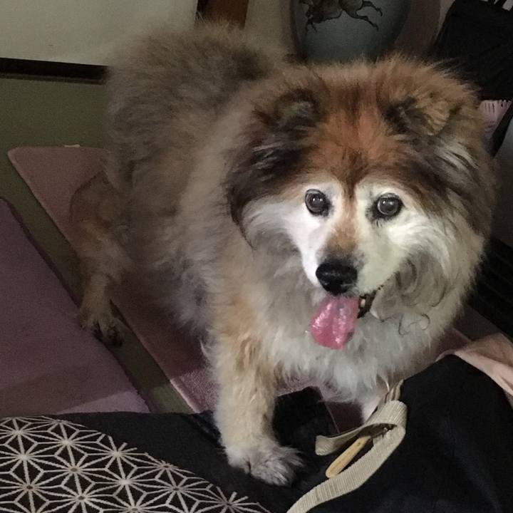 F29a9531 9350 4bcc 9c6c 87b4a1cbd380 1557134506621