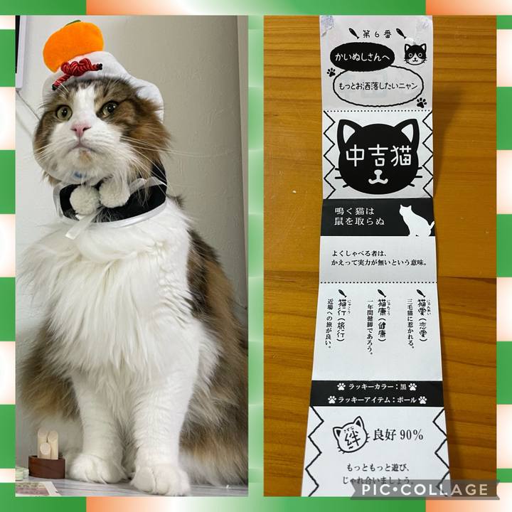 F29ab391 5fe8 4106 aed0 e106b9838043 1704264202440