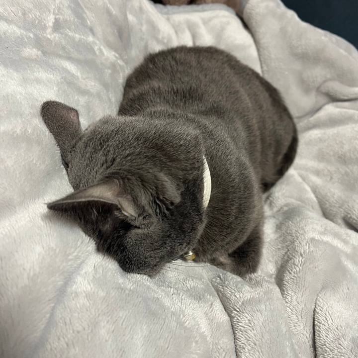 F29ace63 638f 4045 9da8 ab23159c78b0 1701500579009