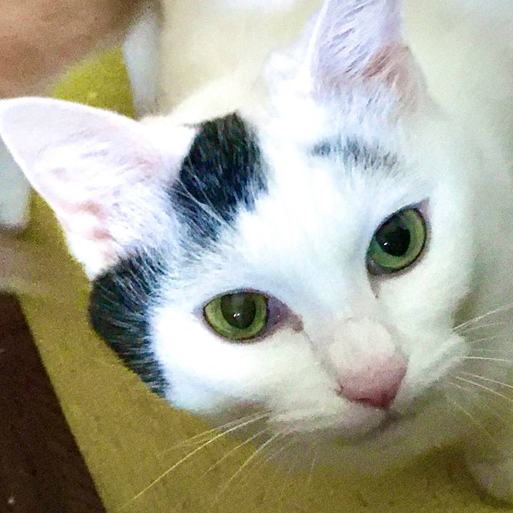 F29acedf ed18 4429 a6d5 7d8a8bbb3f19 1579232389511