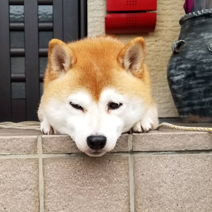 F29af337 a41c 4bfb 81f0 1b4133026f71 1601765454593