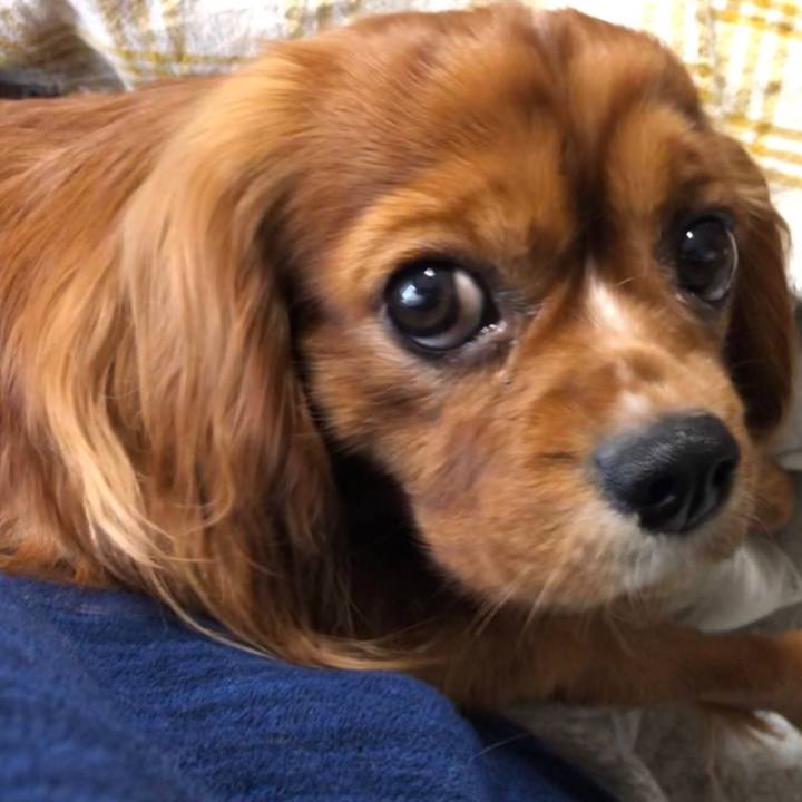 F29b19b5 da33 434a 9182 045a9aa04a54 1553812194939