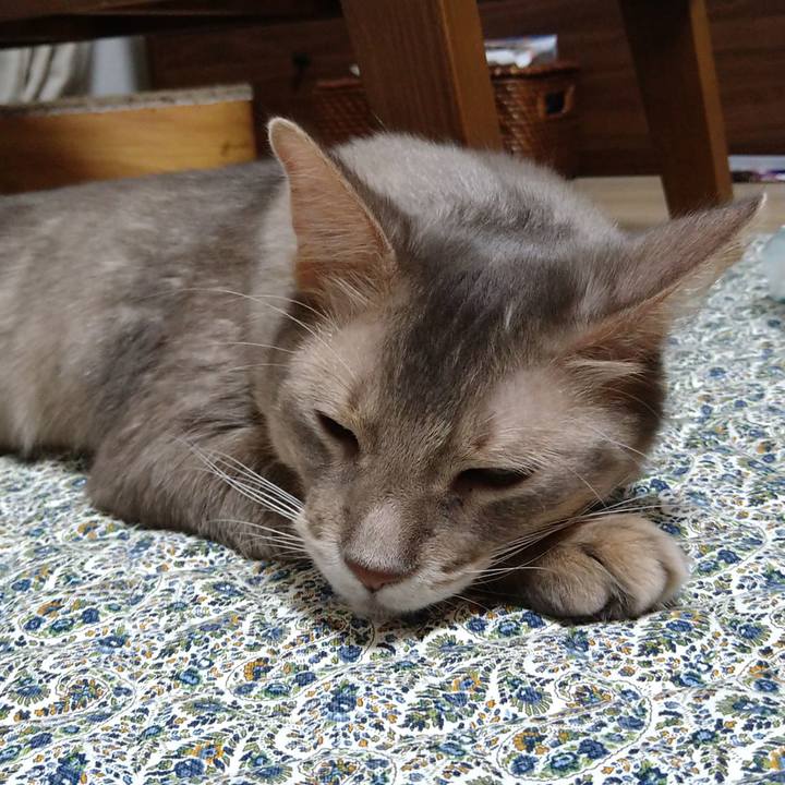 F29b4193 6290 4f0c 9987 5c32b4f142f8 1602933026914