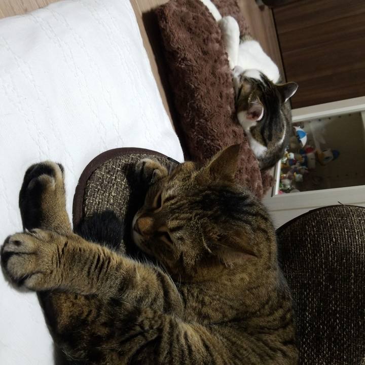 F29b4697 9c06 48d4 9200 c41fc7f90aff 1576673753837