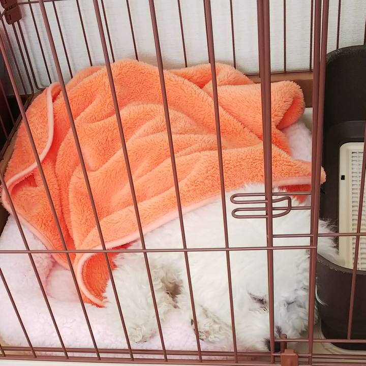 F29b70e9 6f64 4ef1 99f0 c41f9c91288f 1511775917723