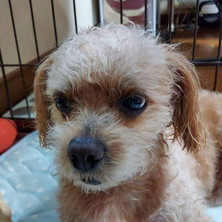 F29b80c4 509c 45f1 887f c344562309fe 1721608445274