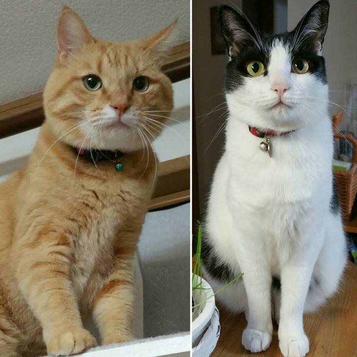 F29b81b0 baa3 441b 84cc 30546efb35bb 1540427481027