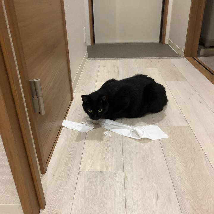 F29b8e14 4b7f 4453 bf87 61a7cd81ec83 1533335372969