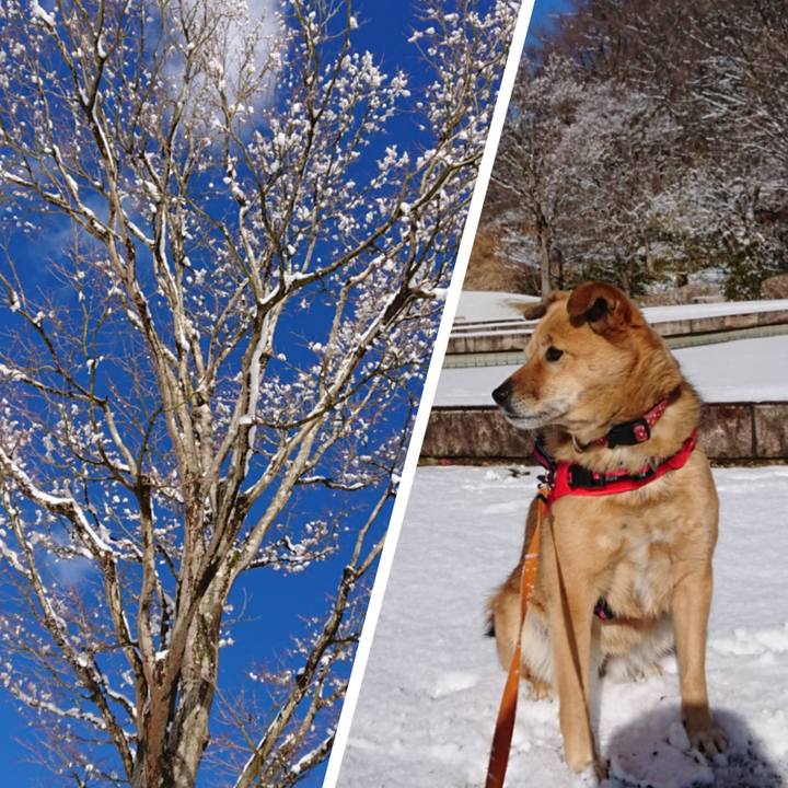 F29babd2 4e8b 46c2 99d4 a336d72b9cd9 1642827661607