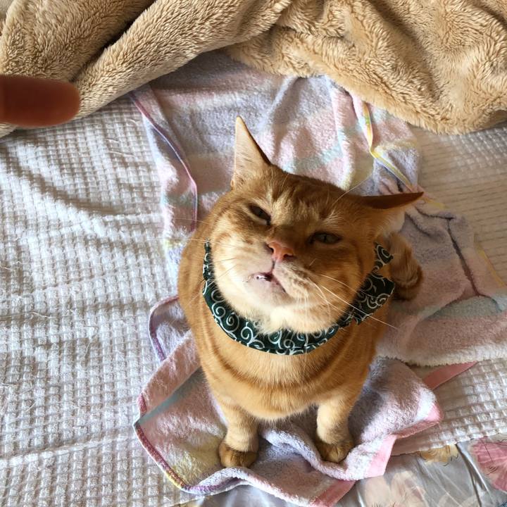 F29bb44b d6b7 472a 98b9 d5b37bdcccce 1585223354392