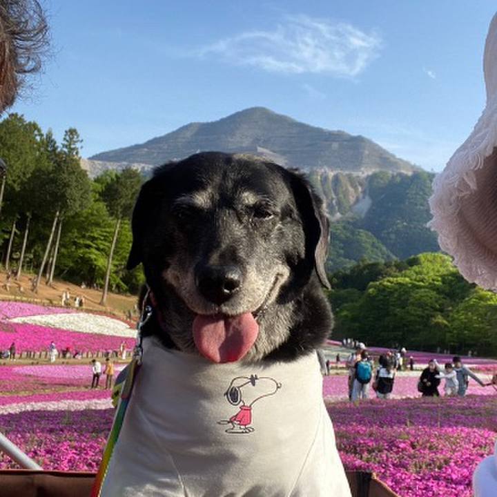 F29bf1fa bc18 4096 b0bd d284c845a16e 1682254962974