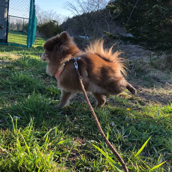 F29bf3b0 d5d2 49df b713 ce55e3c9dbaf 1618962671475