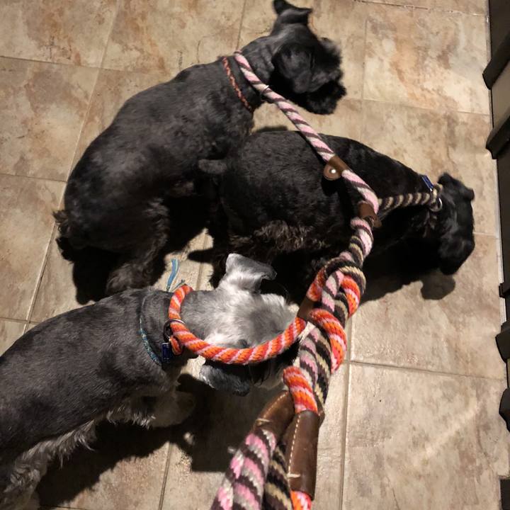 F29bfa8a 8bd0 4f5e bdcb f8b483a09c98 1543522715692