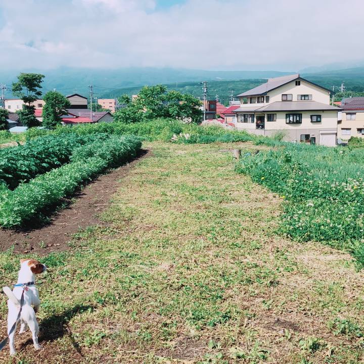 F29c18d1 4713 420a 97df 9efd597b3ad3 1528355575933