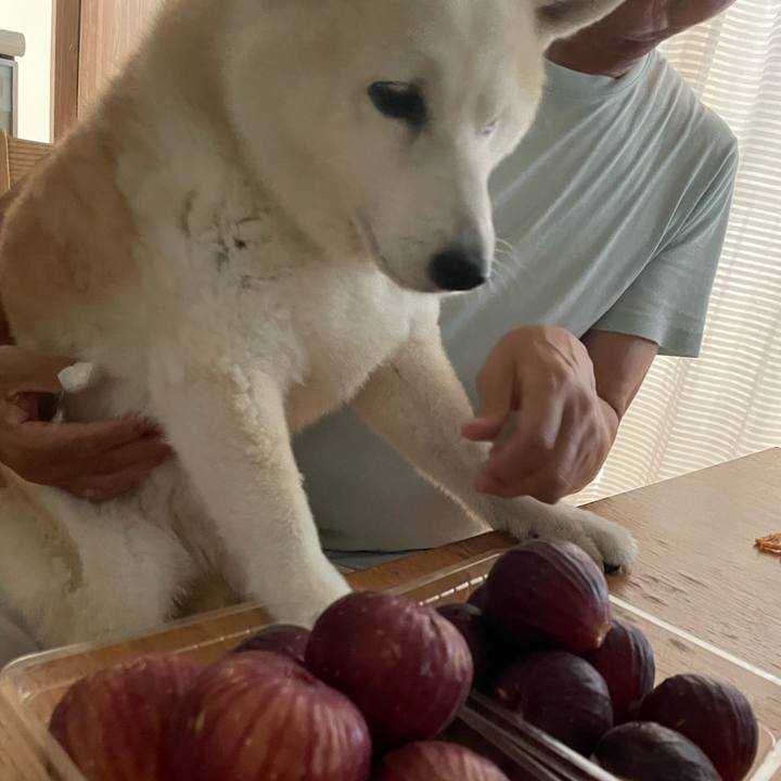 F29c4a0d d0de 4e34 b350 af63374b79d3 1662419793647