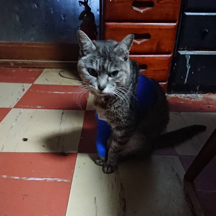 F29c573d 0d70 41a7 bc19 6ff73e206818 1586981951353